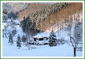 Haus Stettner: Ferienwohnung am Damwildgehege - Winterimpression